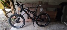 MTB rose uncle Jimbo 1