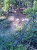 10052008037.jpg
