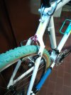 IMG_20210120_164019.jpg