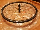IMG_20201002_203539.jpg