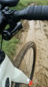 IMG_20201018_133916.jpg