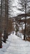 20210205_122146.jpg