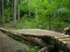 DSCN0802.jpg