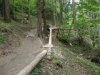 DSCN0815.jpg
