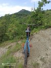 Vendo MTB All Mountain/Enduro