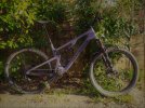 Santa Cruz 5010 C Kit S 2019