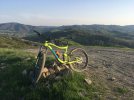 Giant Trance 2 ltd mod. 2017