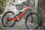 Cerco ammortizzatore 216x57 mm