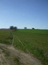 DSCF0312.JPG