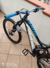 Mondraker dune