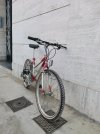 MTB Bambina 24" da citta