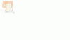 Immagine.GIF