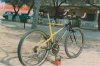 Bianchi Thomisus 2.jpg