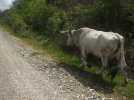 DSCF0752.JPG