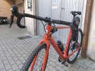 Santa Cruz Stigmata M