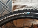 Pirelli Scorpion S 29x2.60
