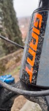 Giant reign 1.5 taglia s