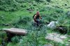 DSC_2468.jpg