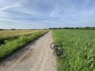 IMG_1285.JPG