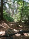IMG_20210720_113442.jpg