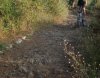 DSC03768.jpg
