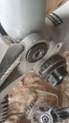 IMG-20210807-WA0004.jpeg