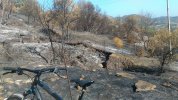 P_20210819_101318.jpg