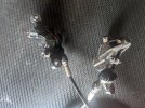 PXL_20210903_104000663.jpg