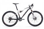 Cerco MTB Scapin Morgan