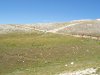 100_0496.jpg