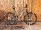 Giant stance 29 2 2021 L