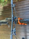 IMG_6137.jpeg