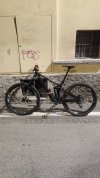 Strive cf8 2019