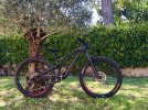 Specialized Stumpjumper Expert Carbon 29