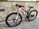 Specialized epic sworks 2011 29