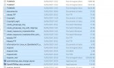 File IMG catturato.JPG