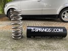Molla in titanio Ti-Springs