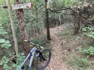 IMG_1847.JPEG