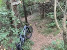 IMG_1849.JPEG