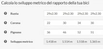 Sviluppo Metrico.jpg