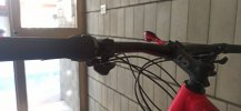 IMG_20211229_155539.jpg