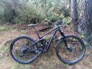 Canyon Strive CF 5.0 29" TG. S