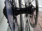 IMG_20220104_160651_967.jpg