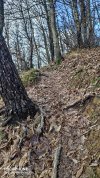 IMG_20220106_114725.jpg