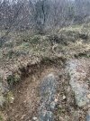 2689C30D-8E9A-40D5-AEFF-83F1CAA75A00.jpeg