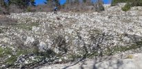 20220108_140939.jpg