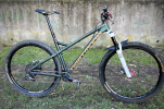 Dartmoor Primal 29