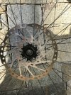 IMG_2458.jpeg