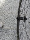PXL_20220203_104533596.jpg