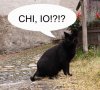 Immagine 020.jpg